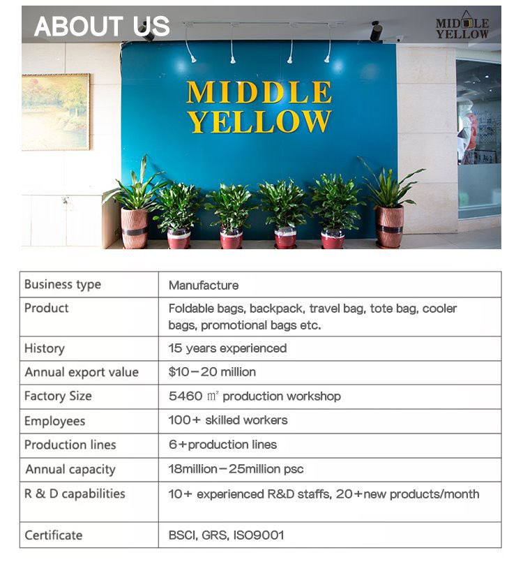 folding lunch bag company introduction folding lunch bag company introduction