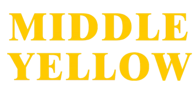 Xiamen Orta Sarı Sanayi ve Ticaret A.Ş., Ltd